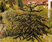 斯坦利斯宾塞 - The Monkey Puzzle - Whitehouse - Northern Ireland